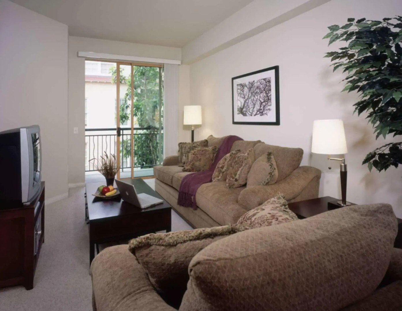 Oakwood Mountain View