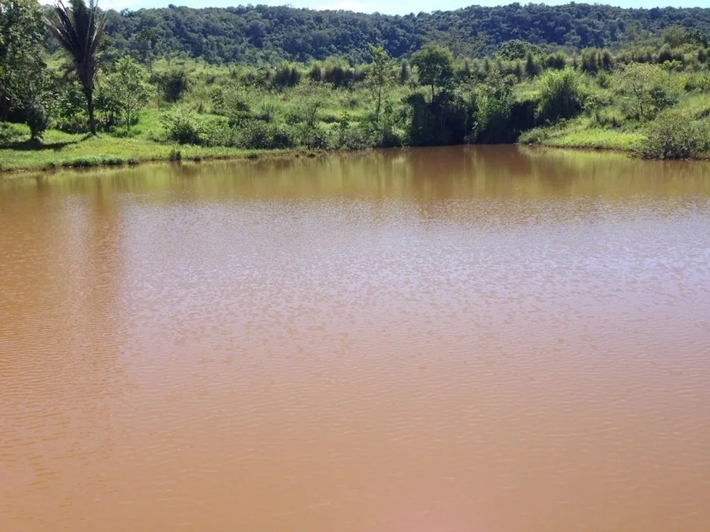 Hotel Fazenda Aguas VIvas