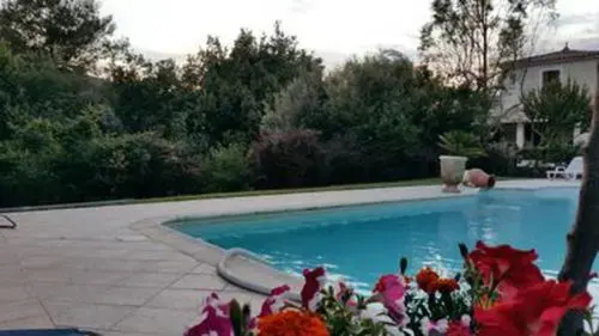 Villa Route D'Entrechaux D13