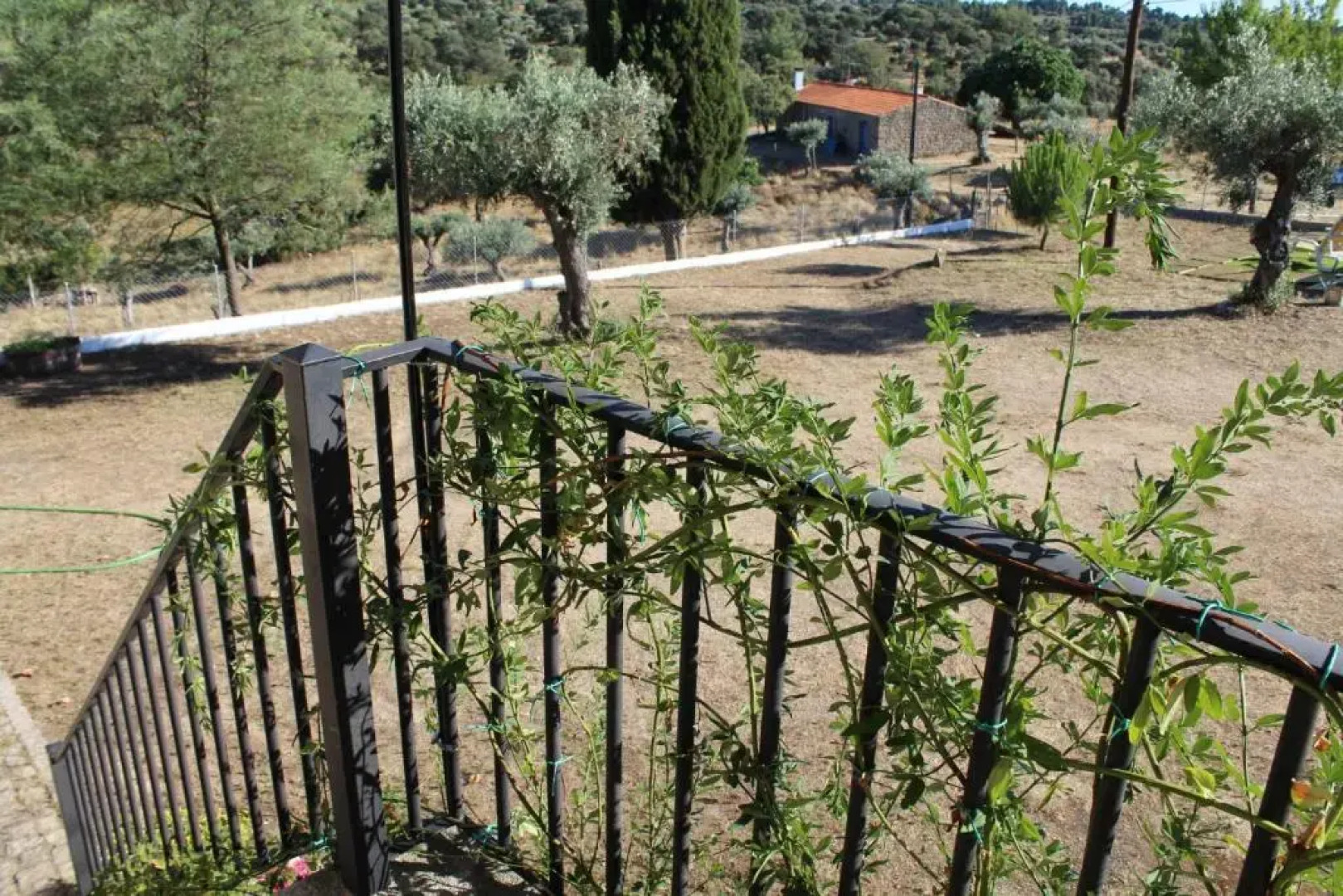 Monte da Fonte Santa de São Luís