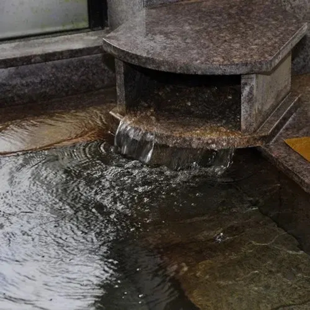 Senboku Onsen Koryu Plaza Saku no Yu