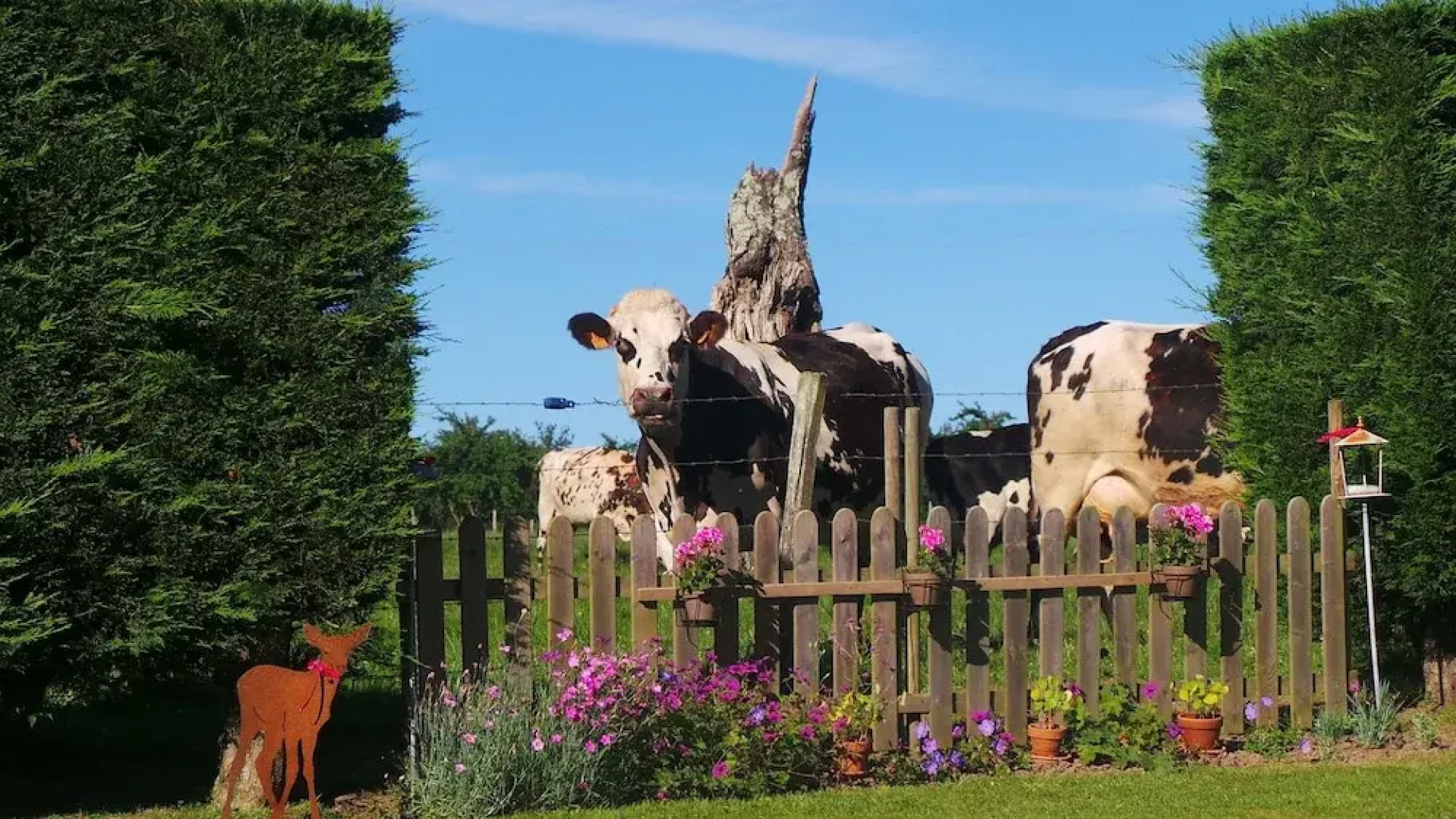 Chambre d'Hôtes Clos De La Haute Rivière
