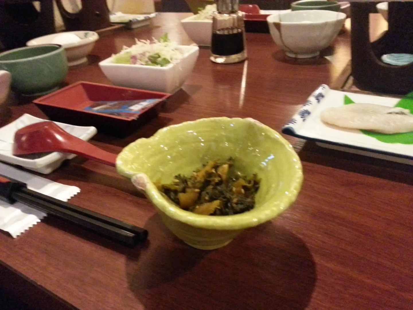 Private spa Hotel Kotone