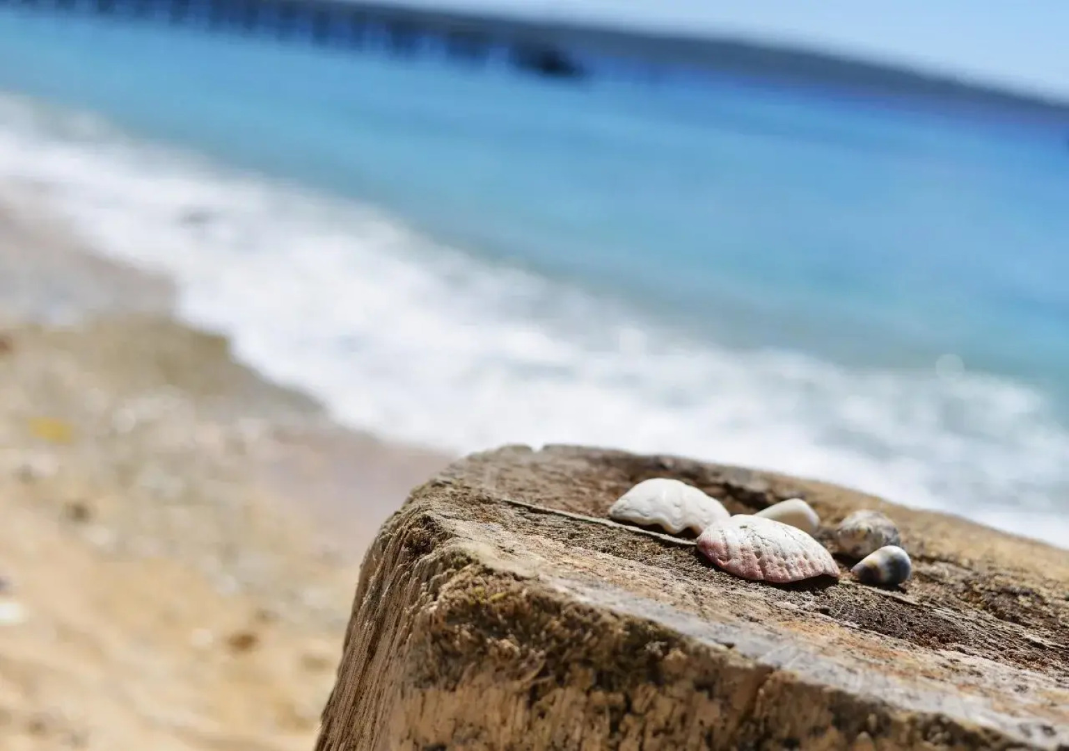 NusaBay Menjangan by WHM