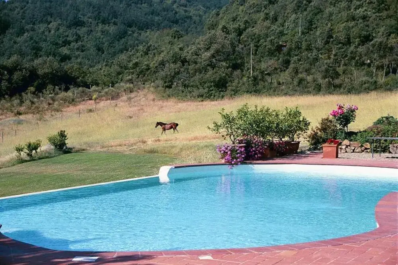 House With 2 Bedrooms in Murlo, With Private Pool, Furnished Terrace a