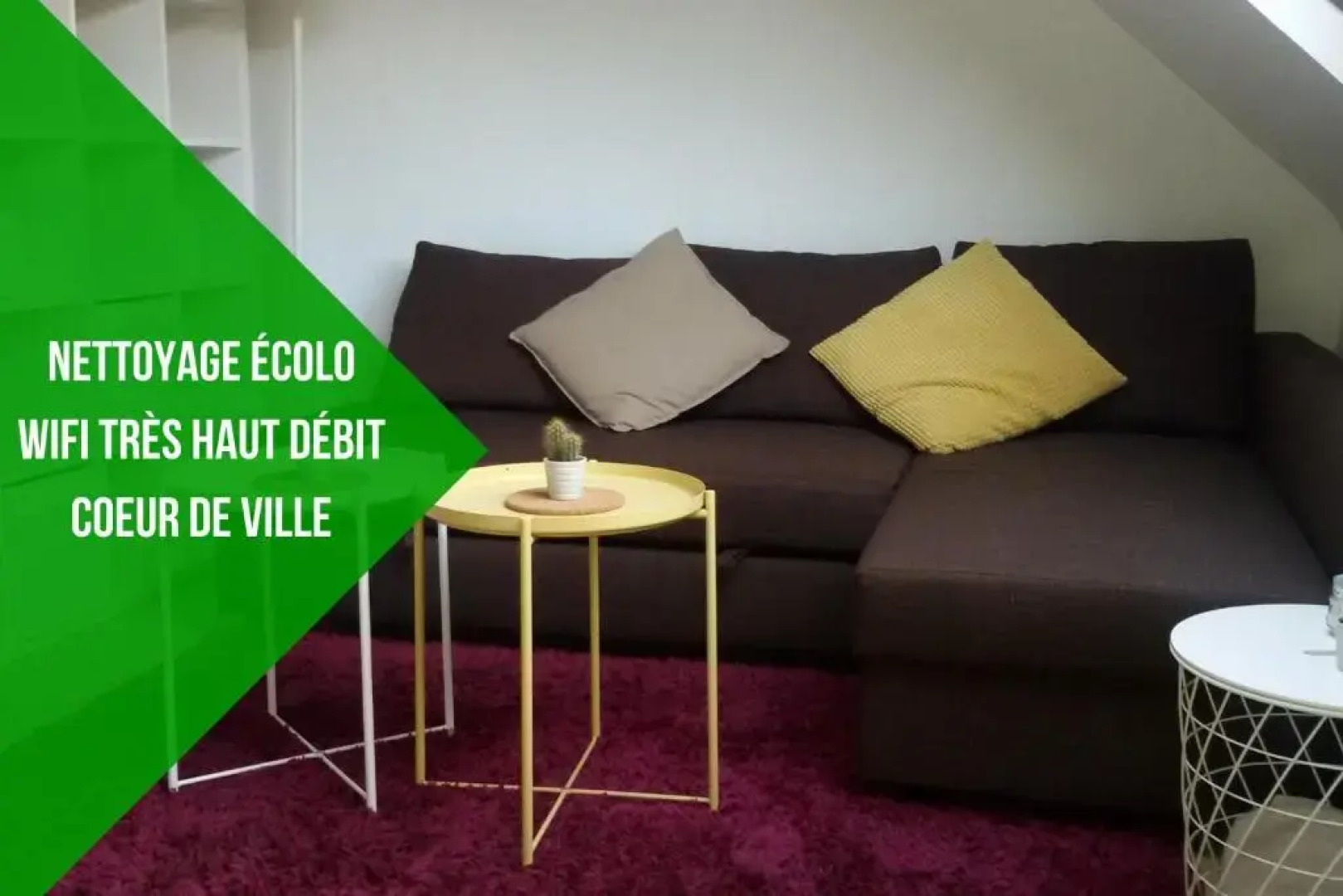 L1 - Green And Cosy Flat Close Paris - Wifi
