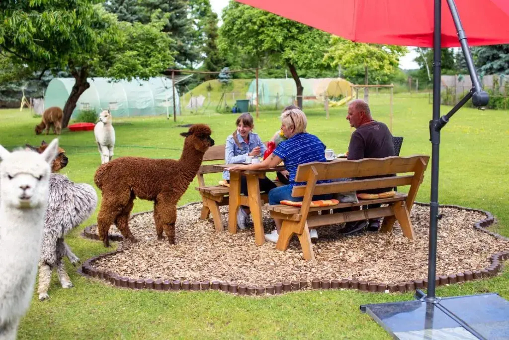 Gastehaus Am Schloßpark