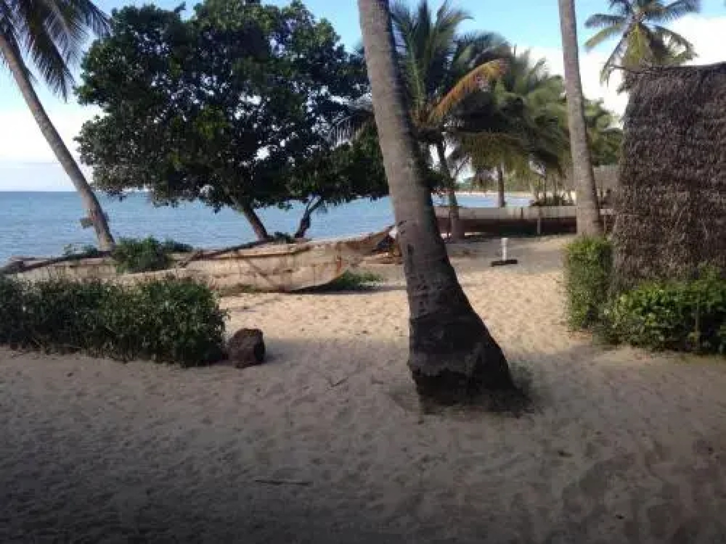 Drifters Beach Banda