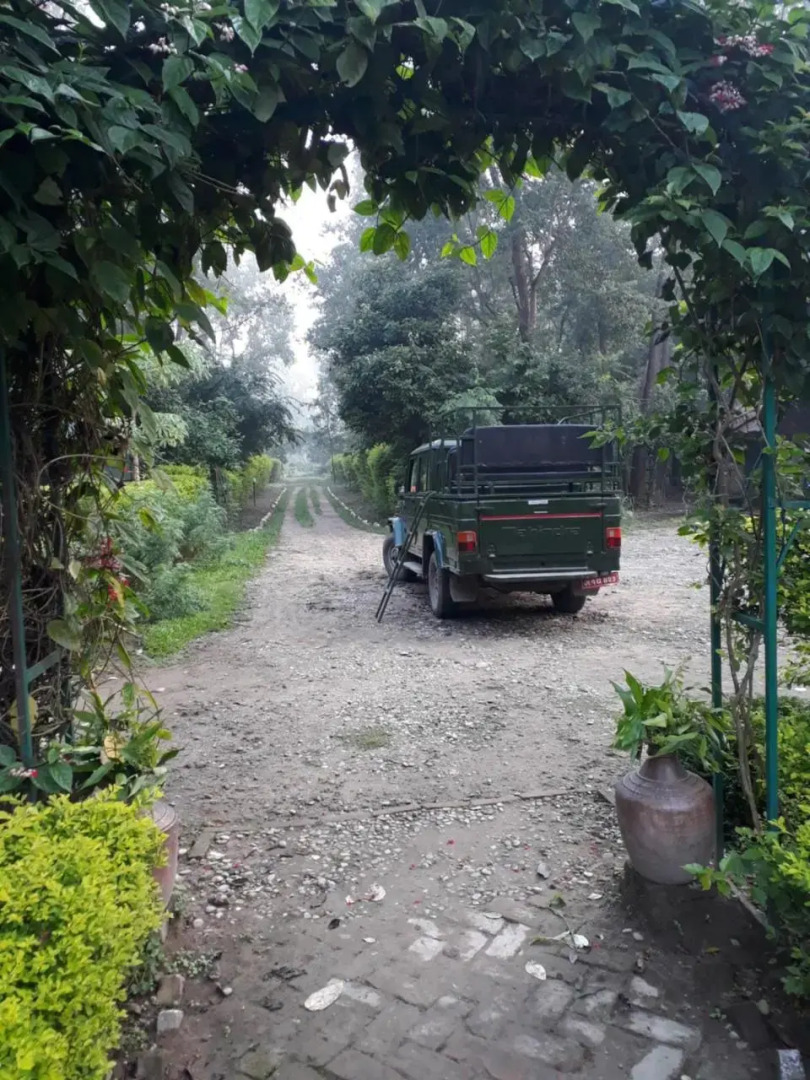 Suklaphanta Jungle Cottage