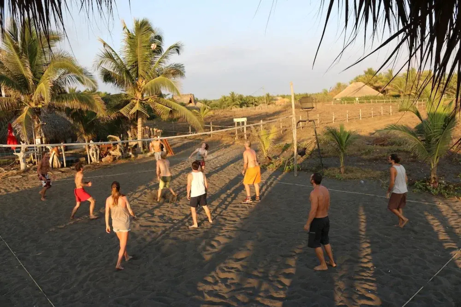The Driftwood Surfer