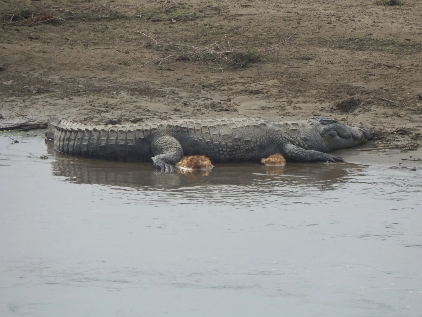 Eco Adventure Resort