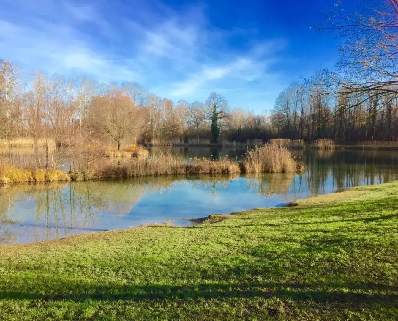 Ferienwohnung Bitto - Europa Park
