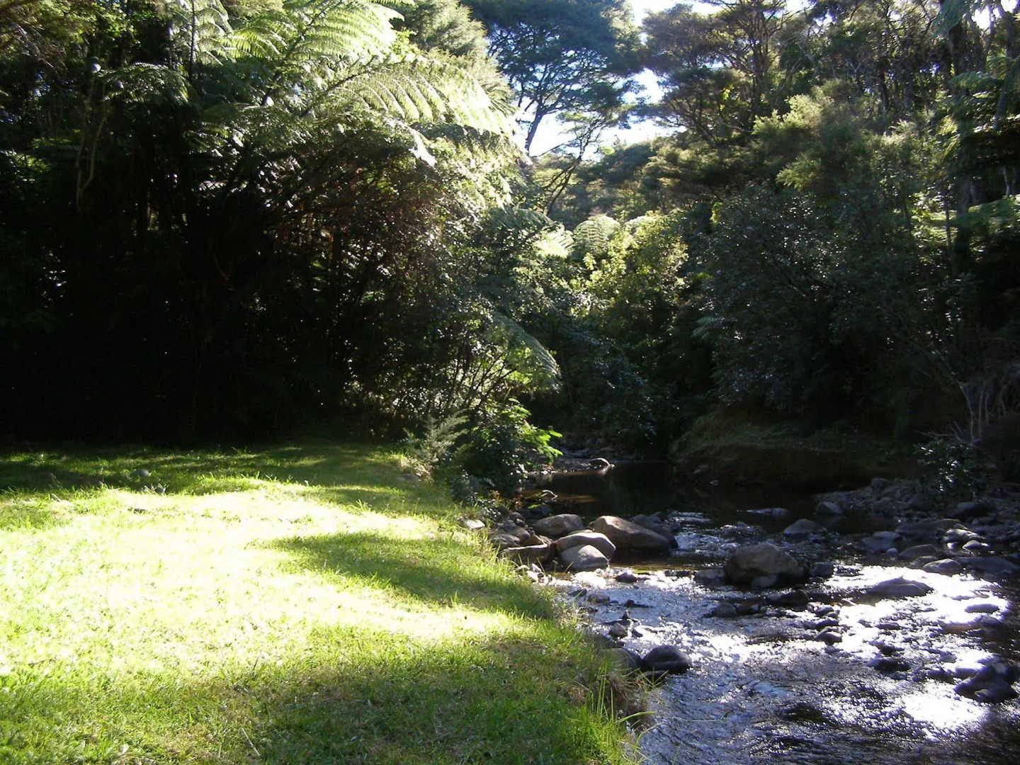 Tangiaro Kiwi Retreat