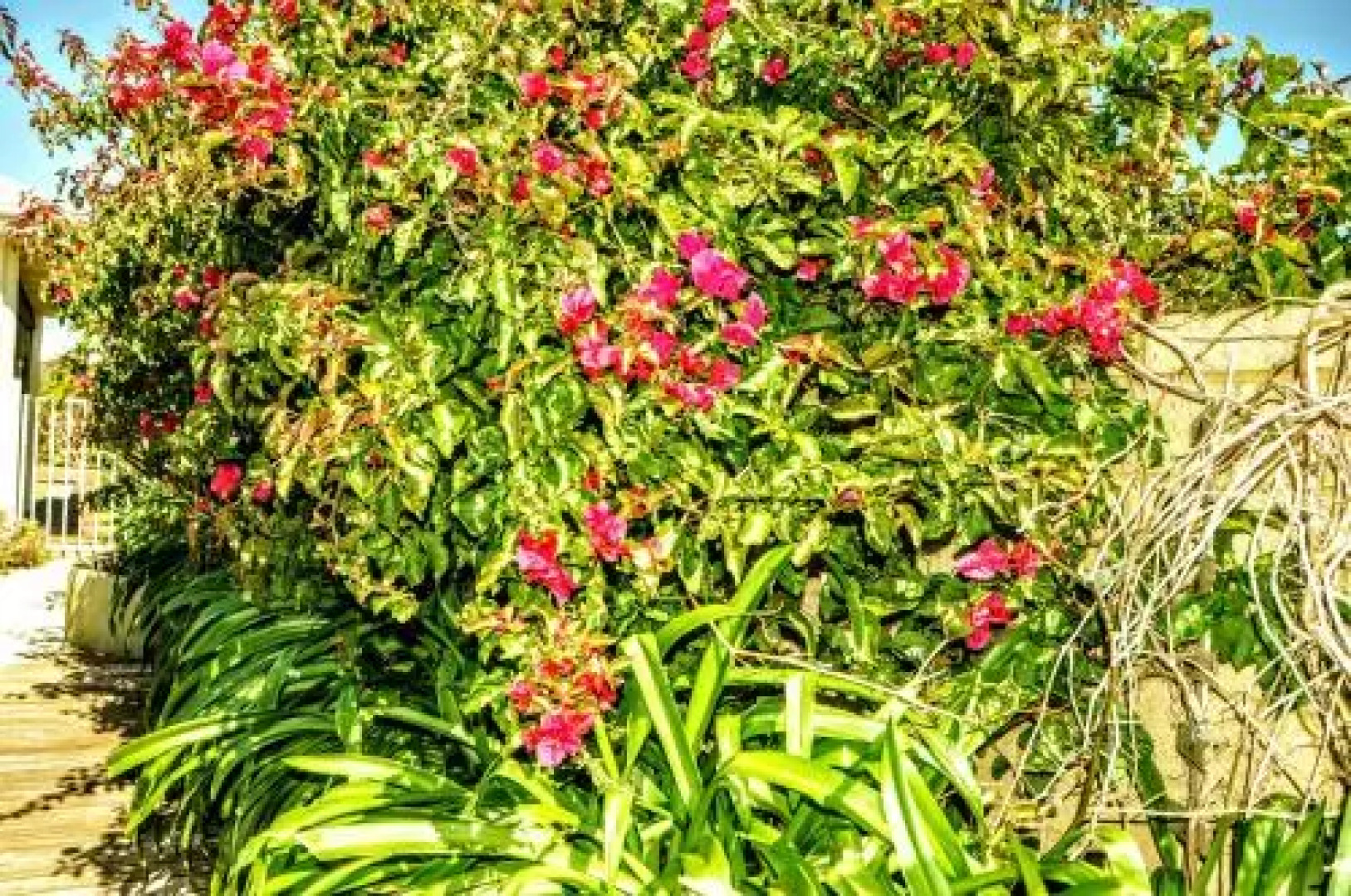 Halls Head Holiday Home