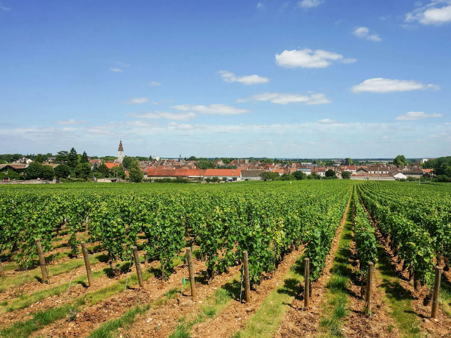 ibis budget Nuits Saint Georges