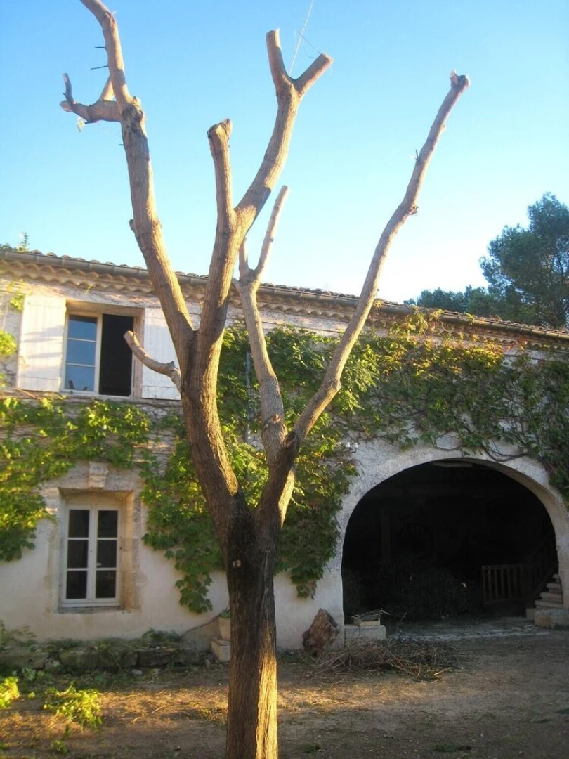 Apartment With 2 Bedrooms in Nages-et-solorgues, With Wifi