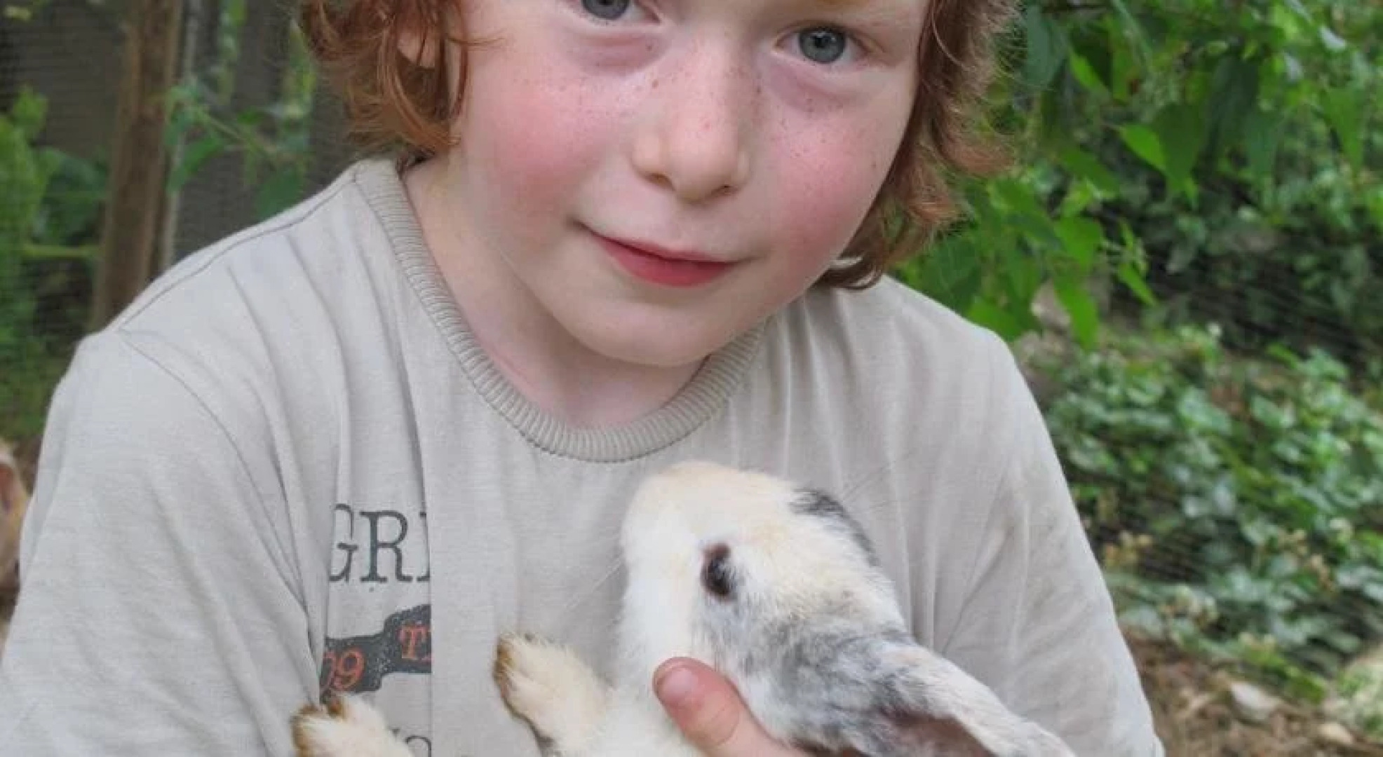 Wiesenbauer - Schlögl Anton