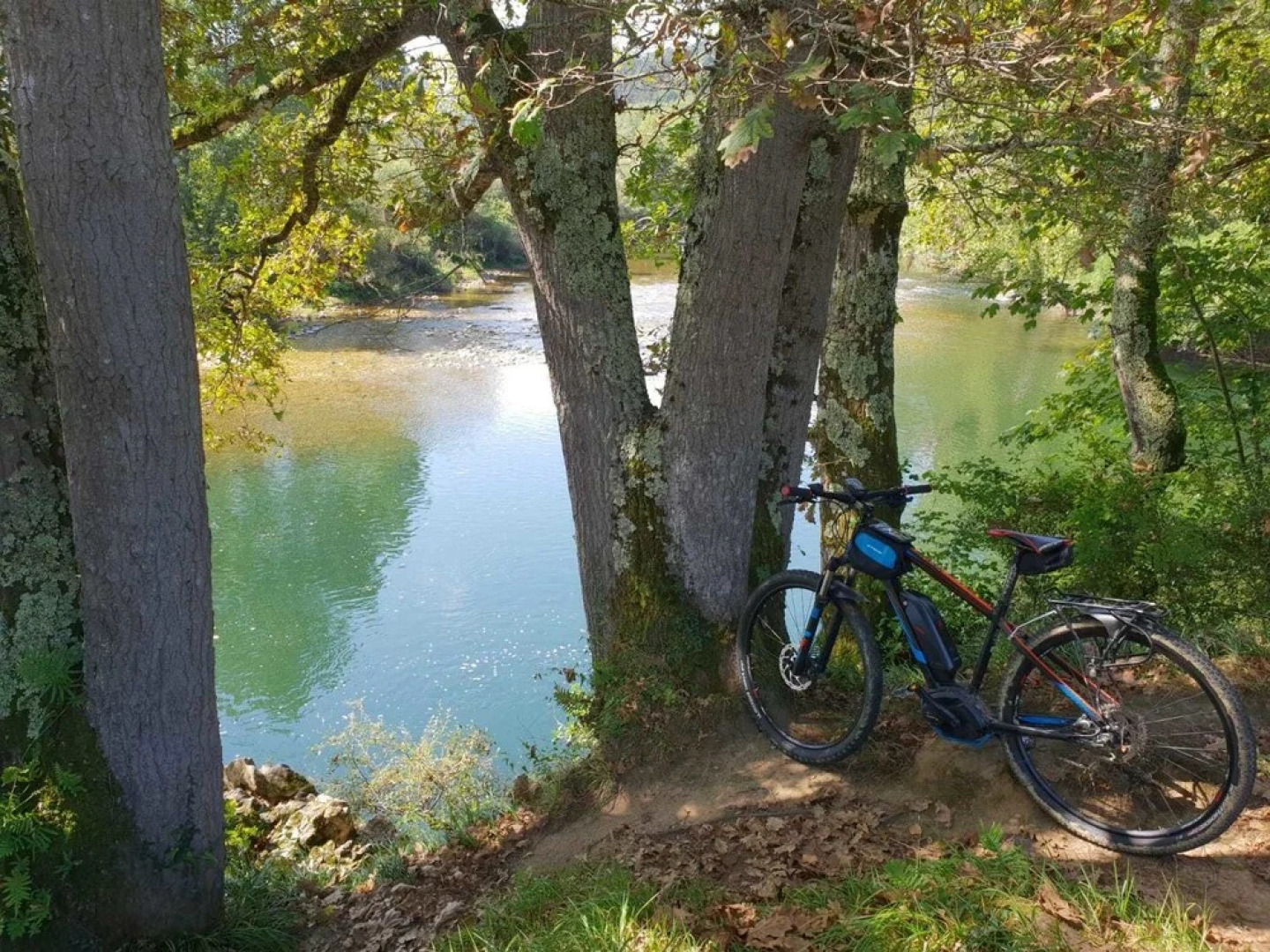 El Búho de la Remolina
