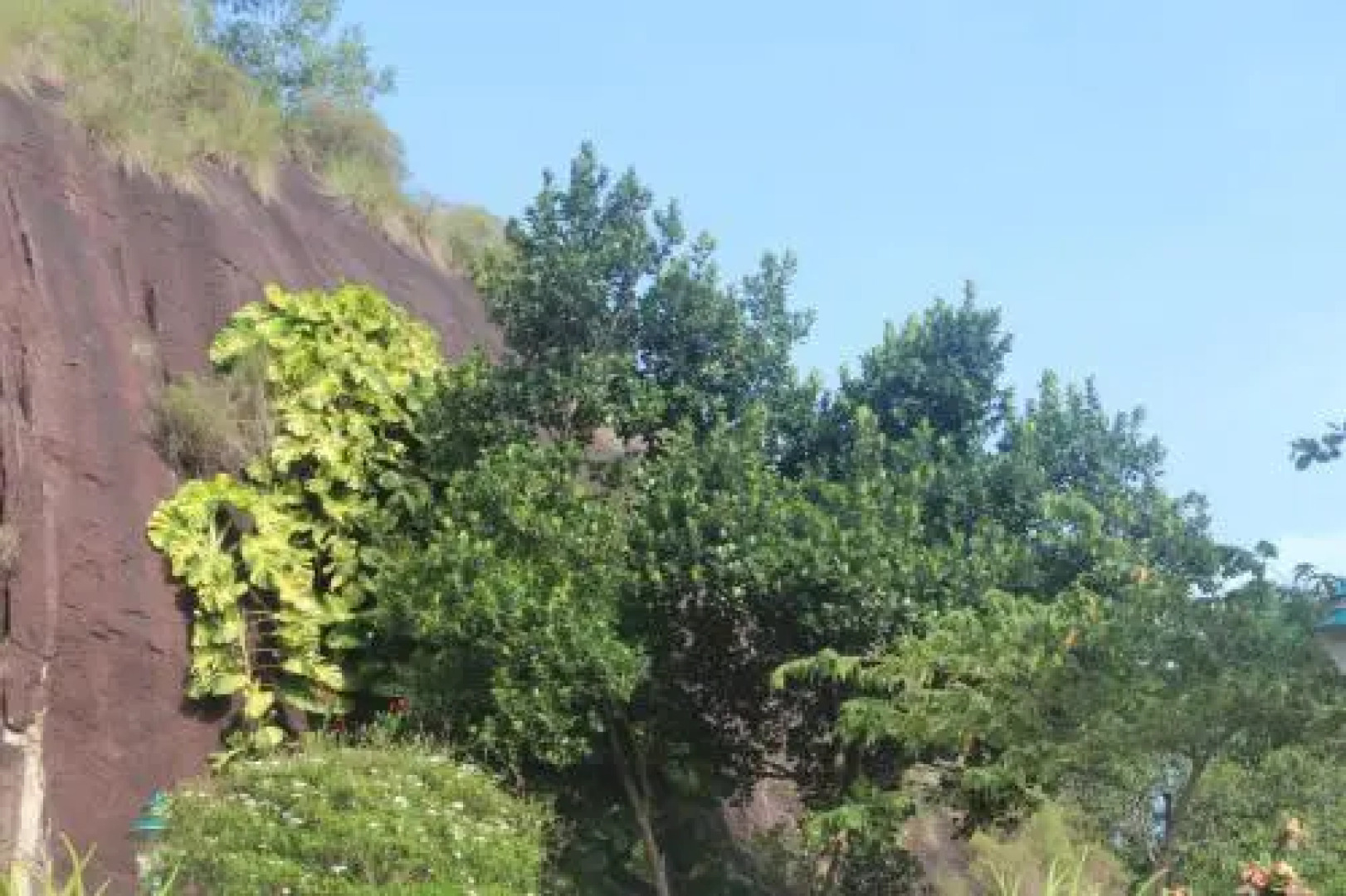 Bio Veda Ayurvedic Hill resort