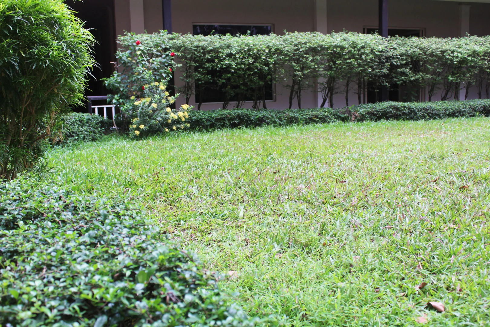 Angkor Riviera Hotel