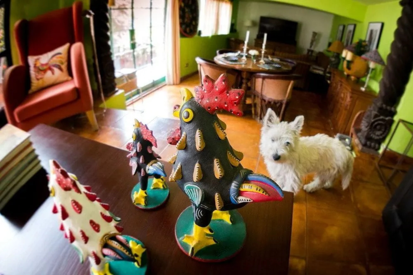 Casa Cinco Patios Hotel Boutique