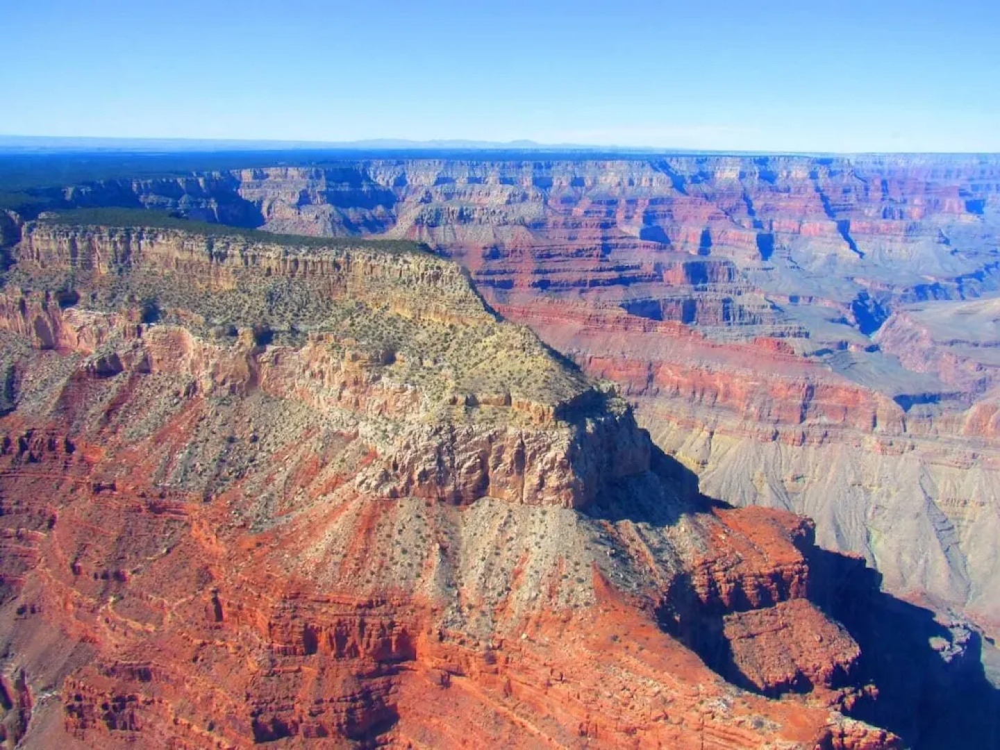 Trapper's Rendezvous