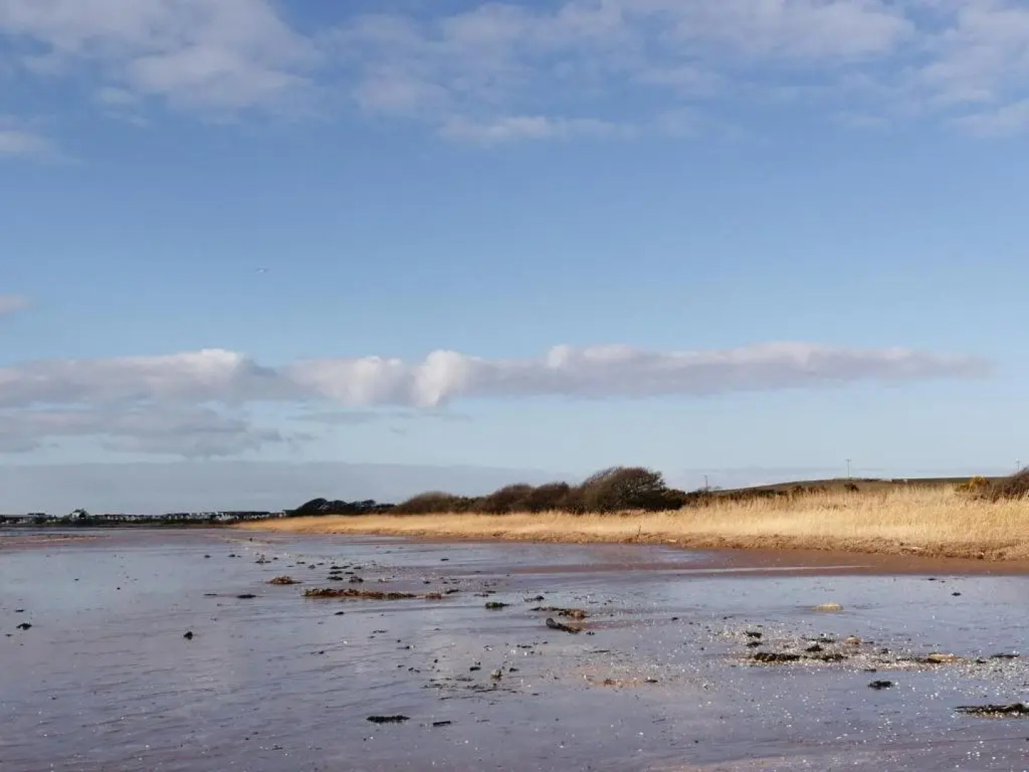 Beachcomber Lodge, 3 bedroom, beachside, dog friendly, Dumfries and Galloway, Scotland