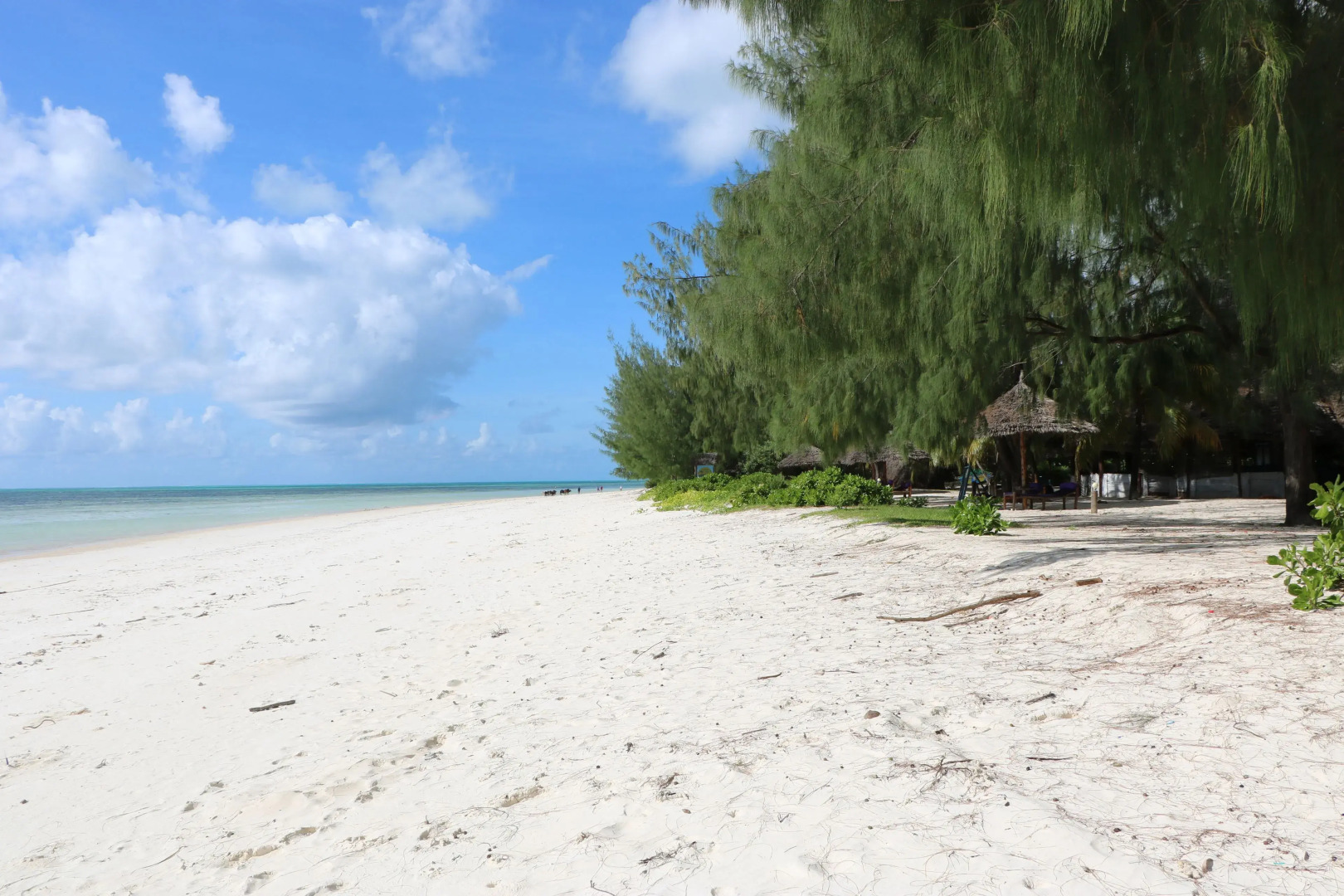 Marea Boutique Hotel