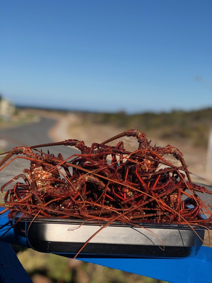 The Beach House Ledge Point