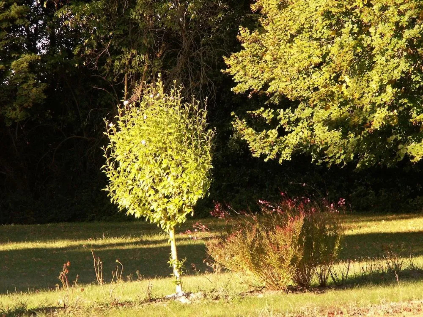 Château de la Court d'Aron