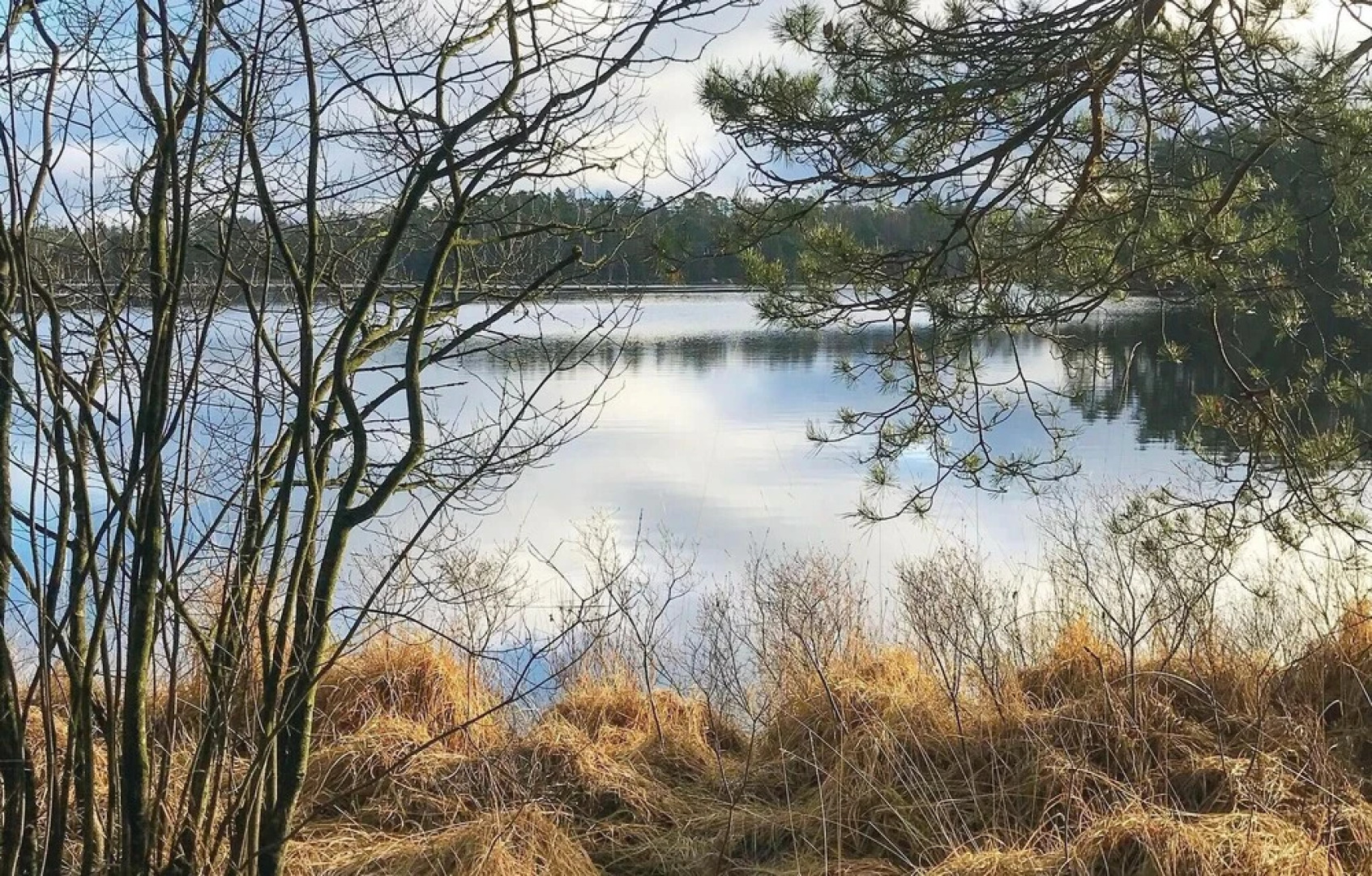 Amazing Home in Vittsjö With 2 Bedrooms, Sauna and Wifi