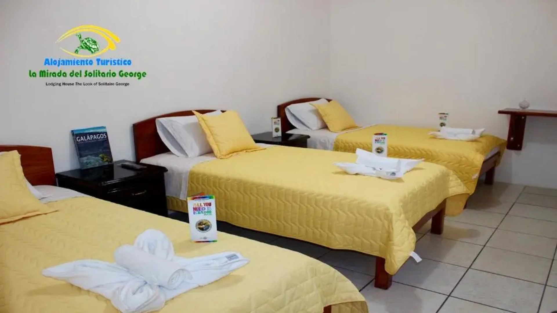 La Mirada De Solitario George