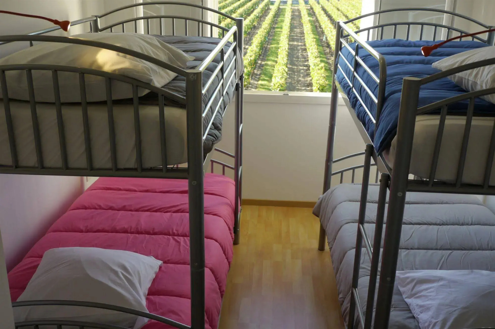 Les Grands Vignobles