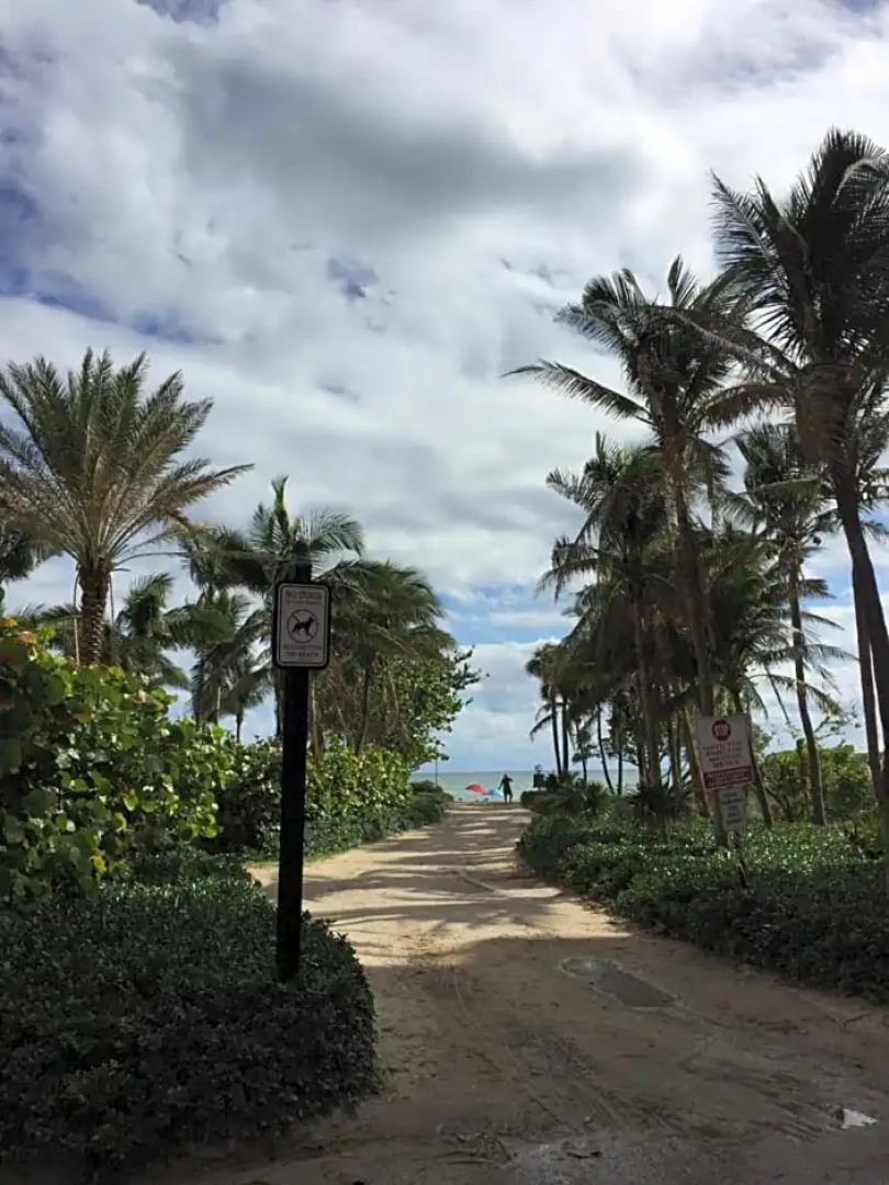 Ocean Reserve STR-01045