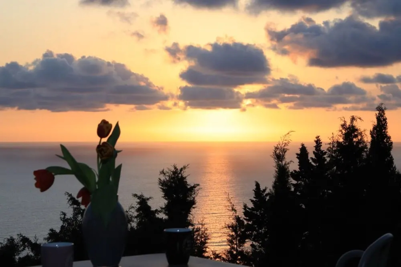 Alibertini Studios 1