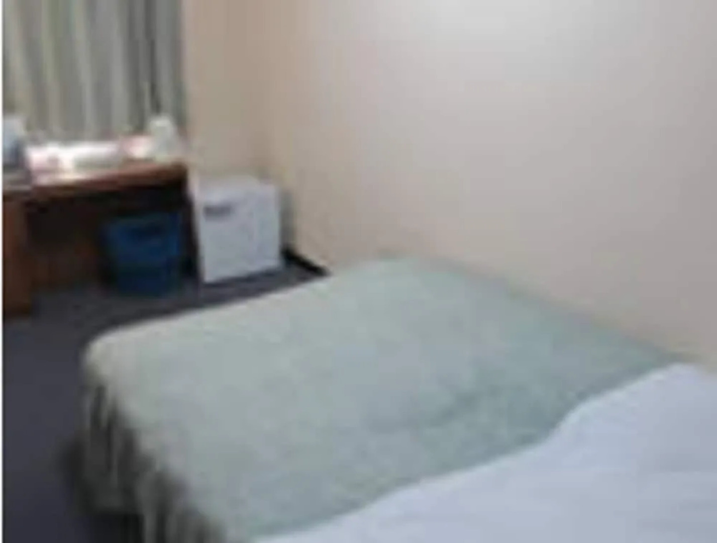 Kofu Prince Hotel Asahikan