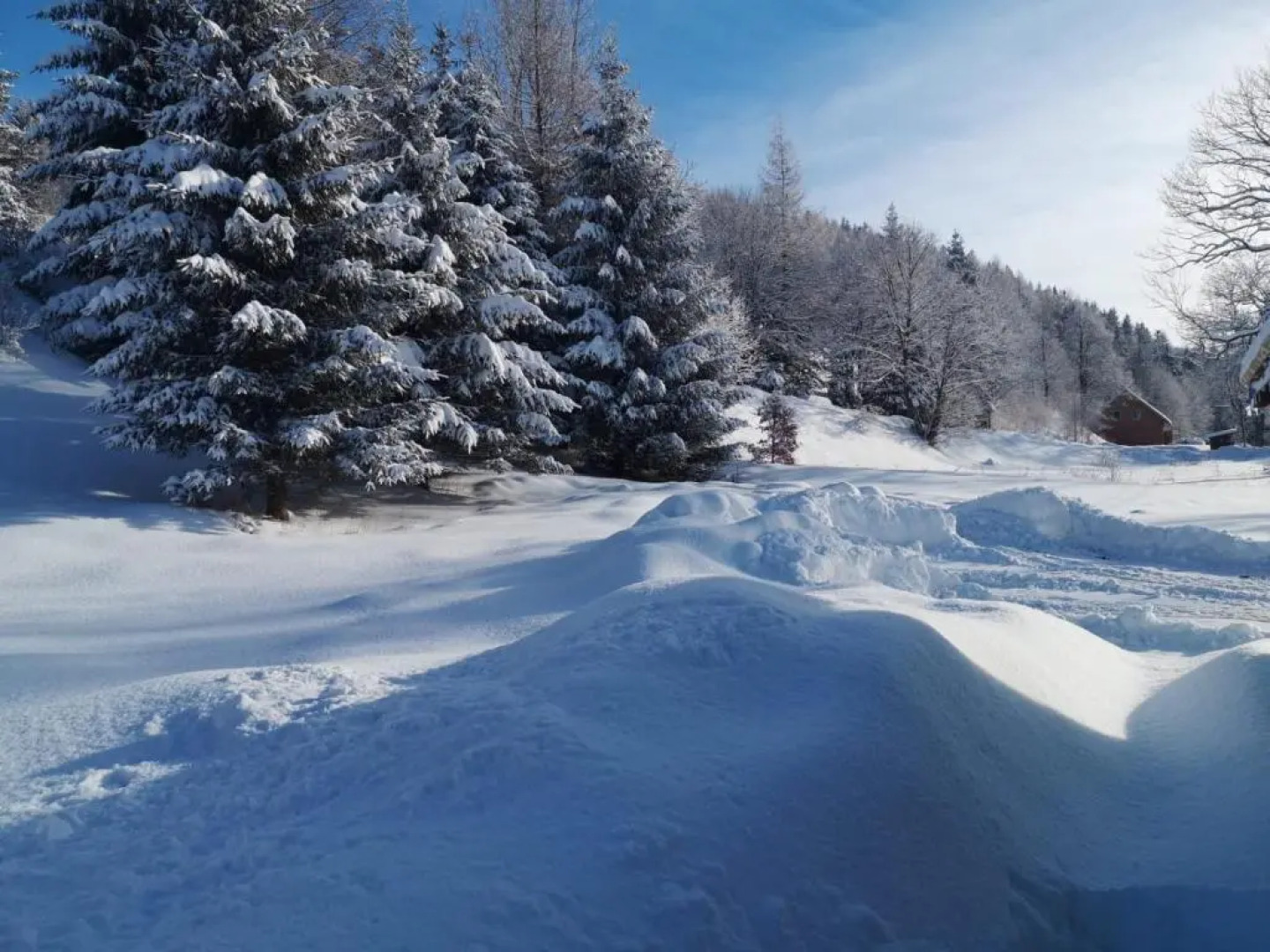 Drewniany Domek Daria I Tomek 2 Domki Na 8 Osob