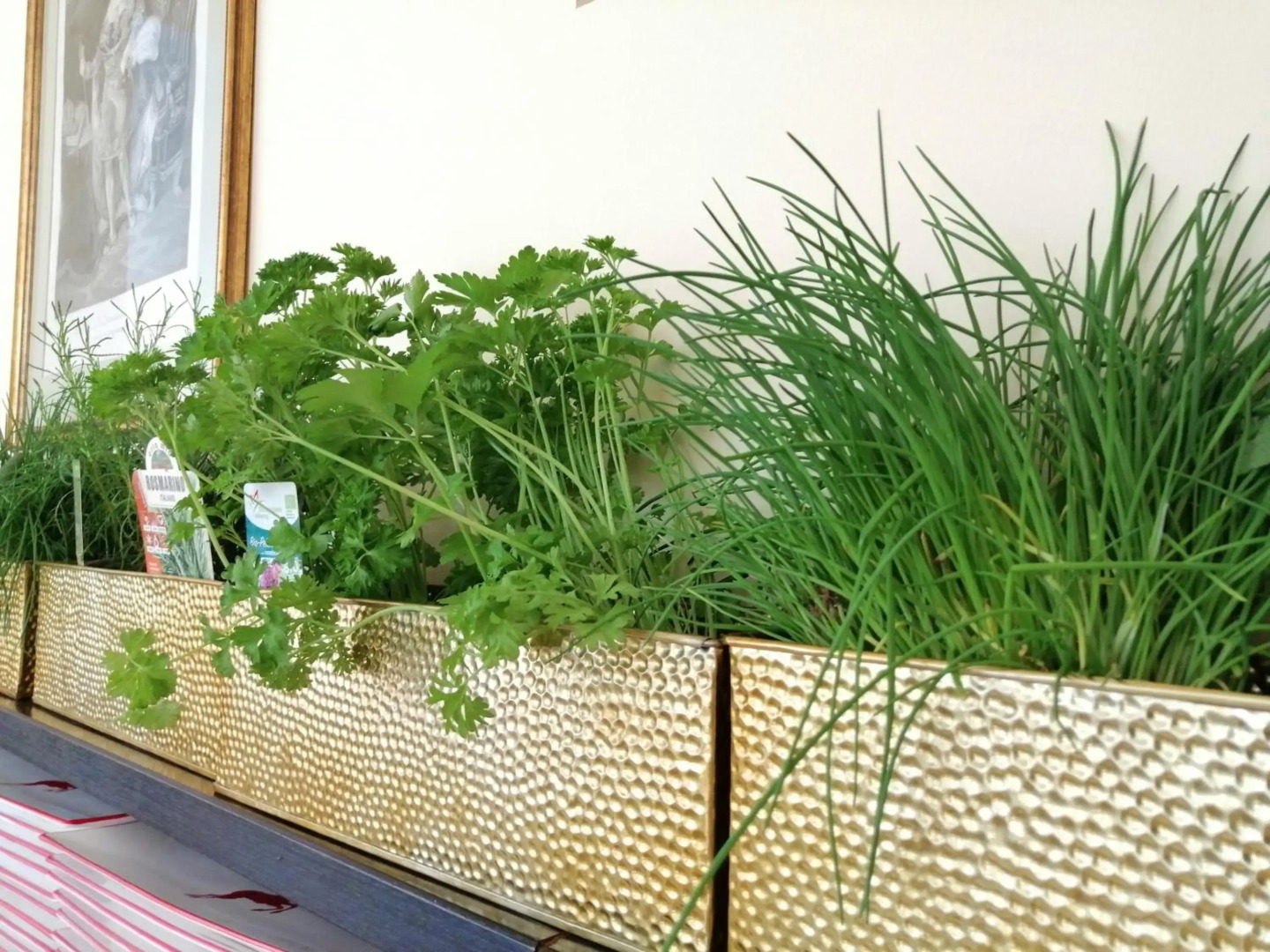 Seehotel Grüner Baum