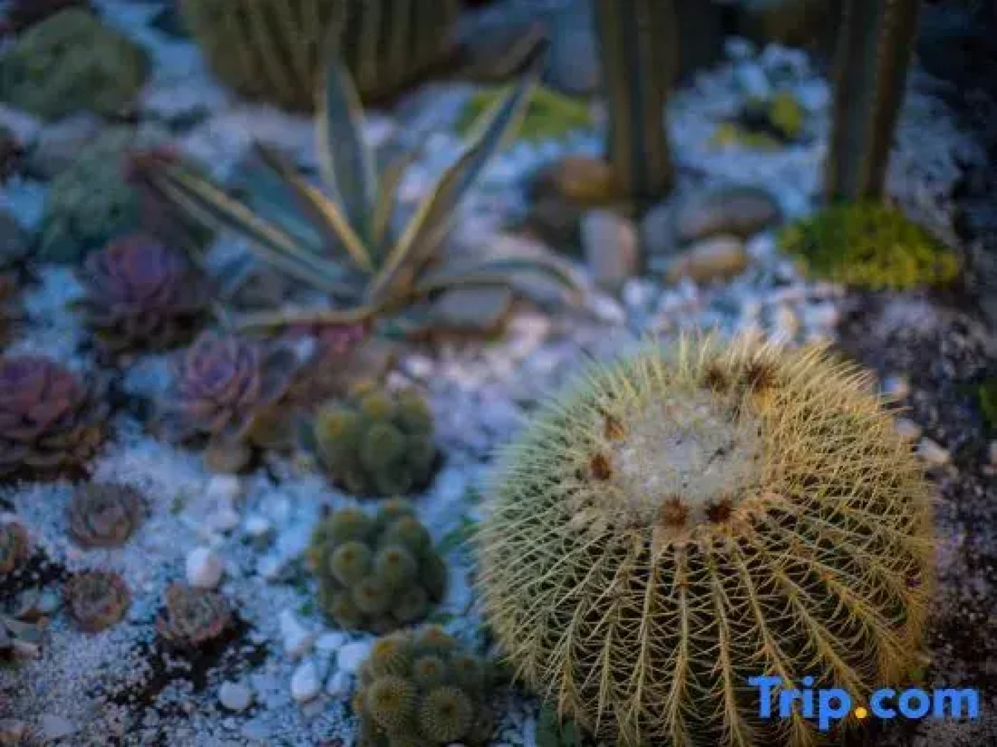 Tinghuatang Seaview Garden Inn