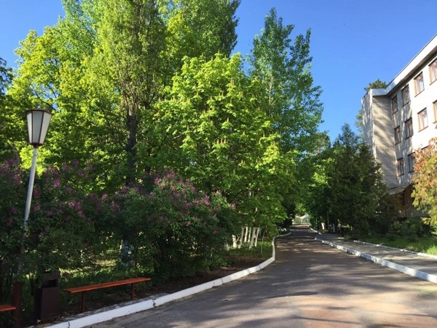 Belyj bereg