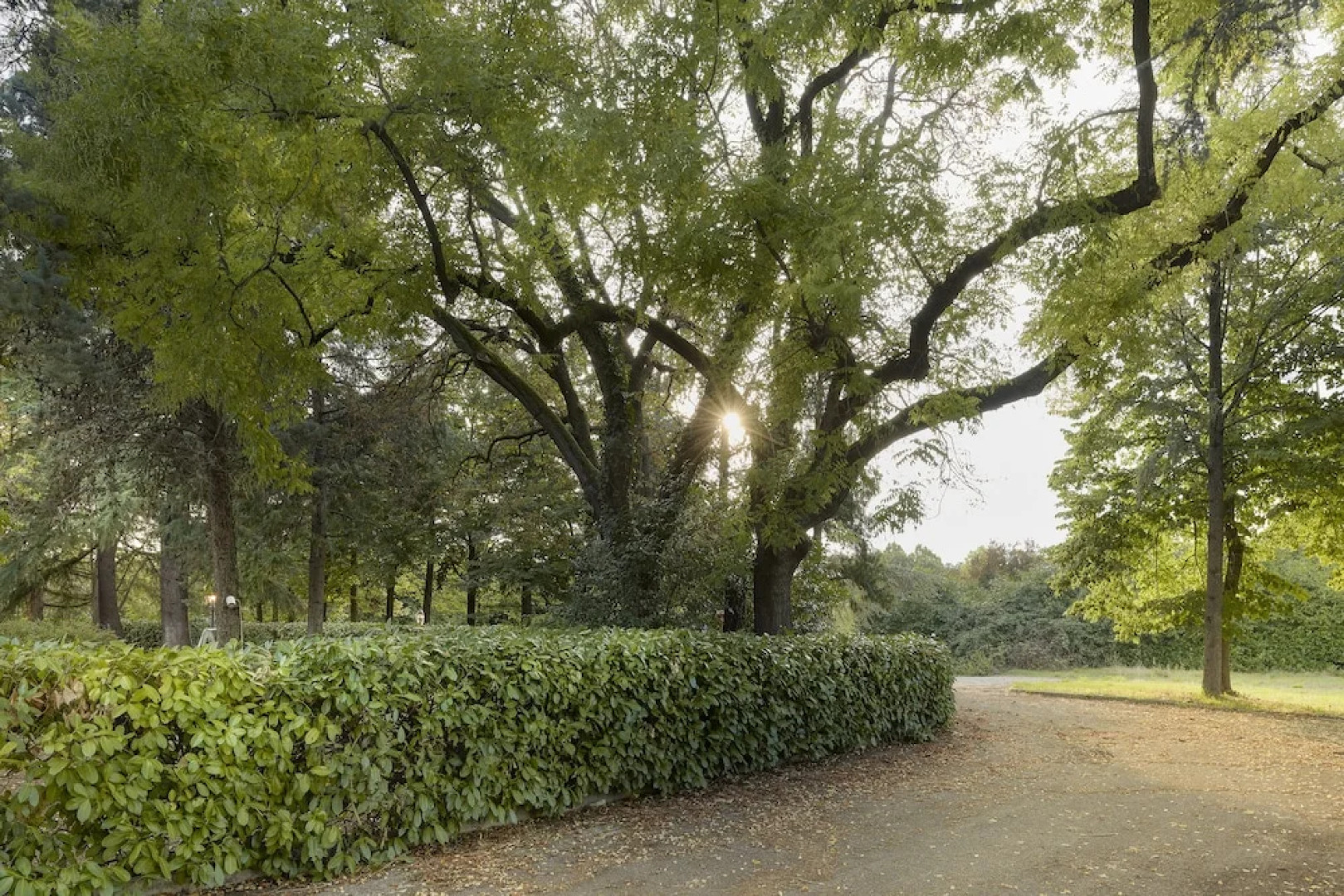 Meditur Hotel Bologna