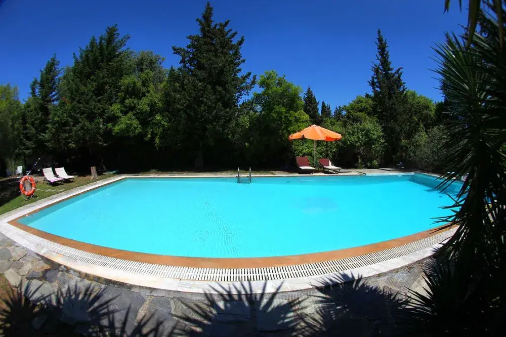 Wildrose Corfu Apartments