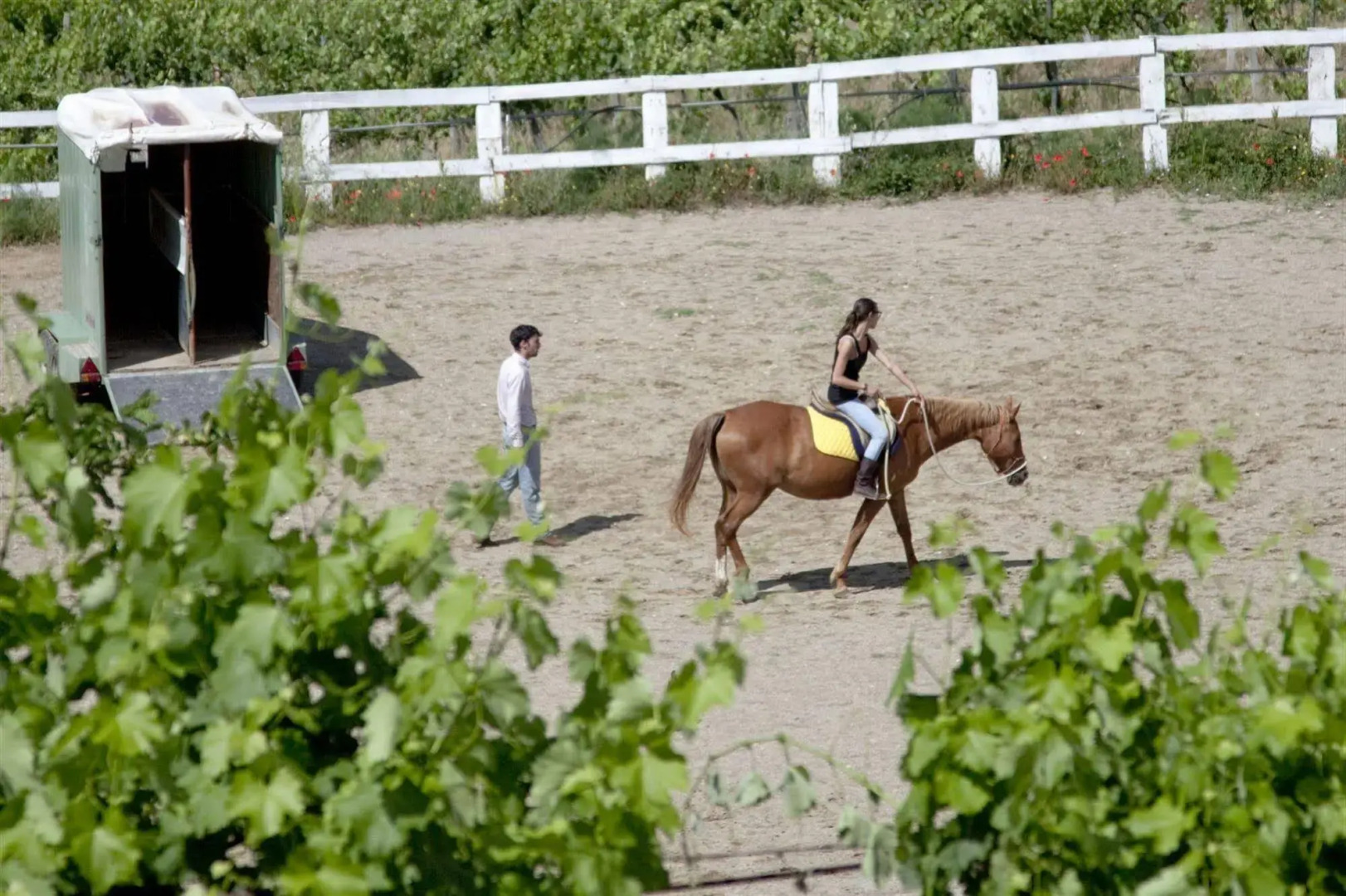 Montelucci Country Resort & Agriturismo di Charme