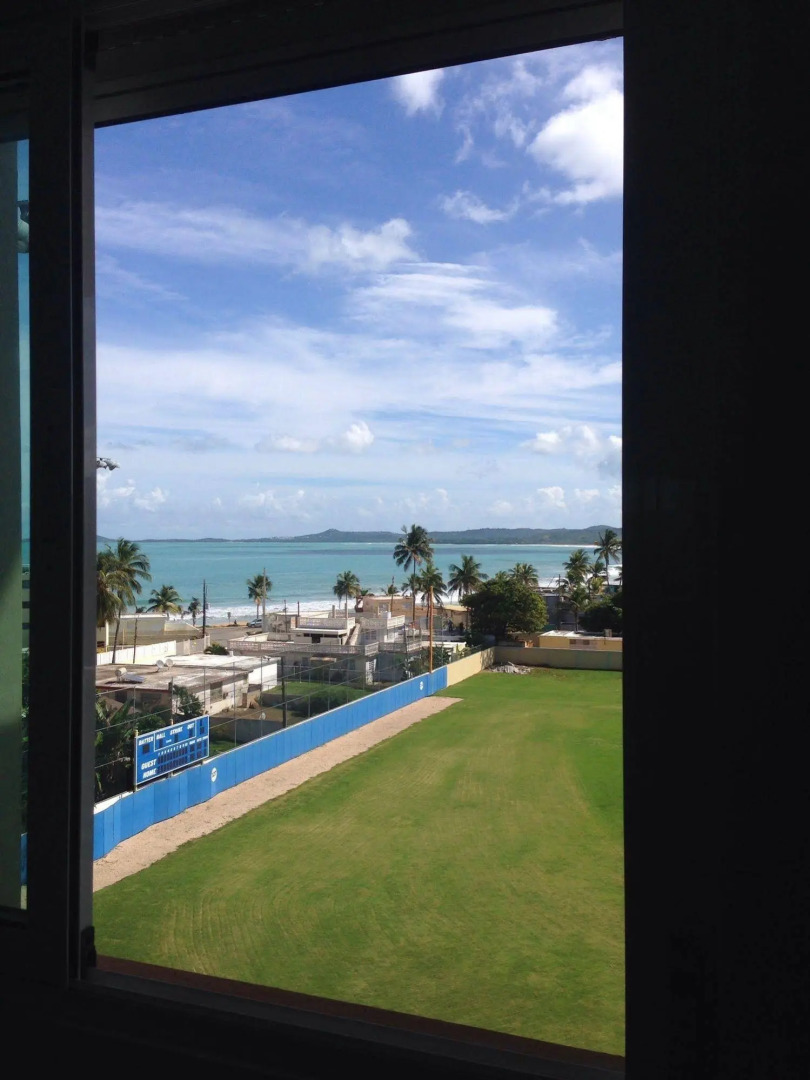 Dolphin Tower Apartment