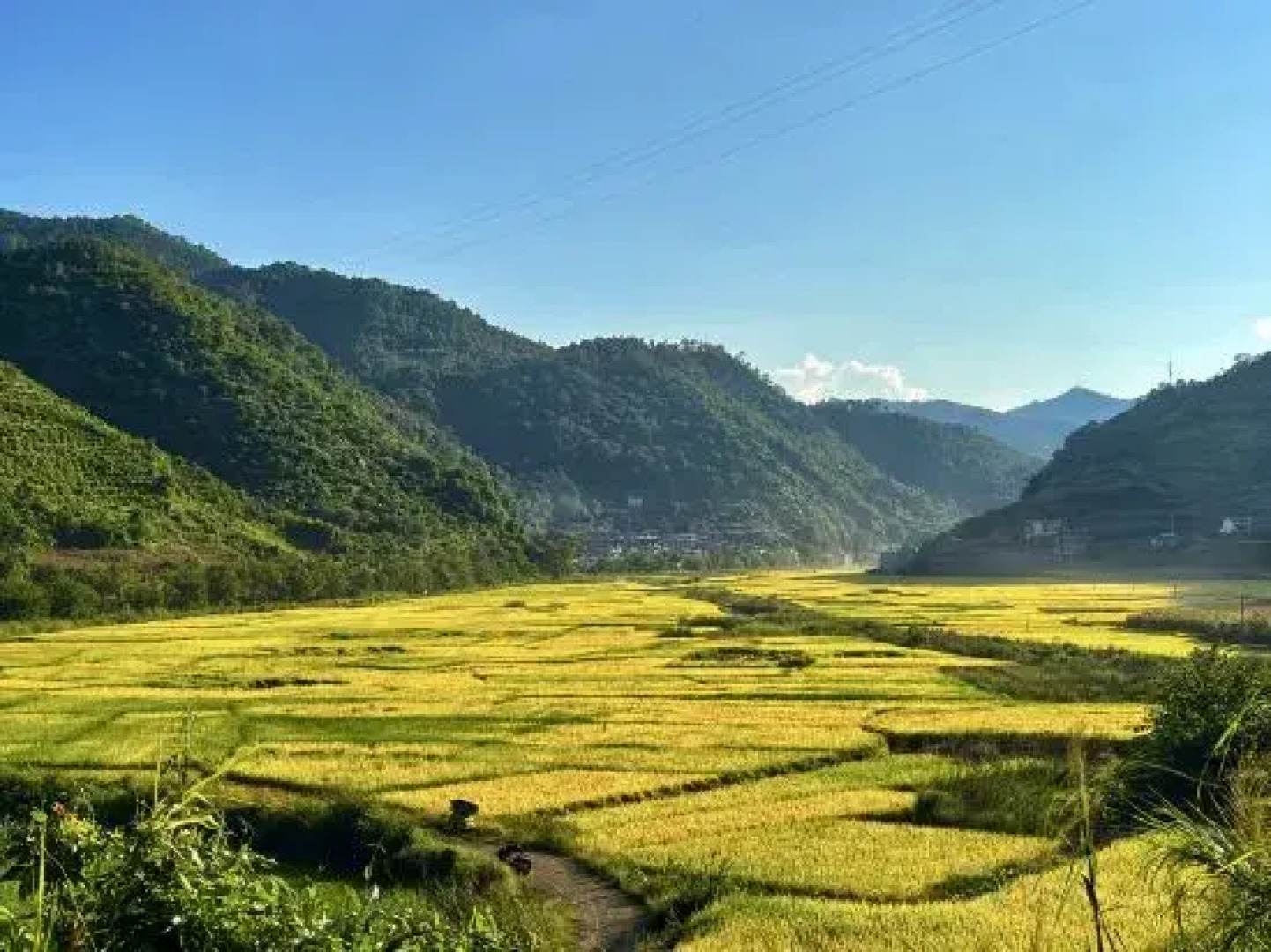 Yuejingyun Lake View Hostel