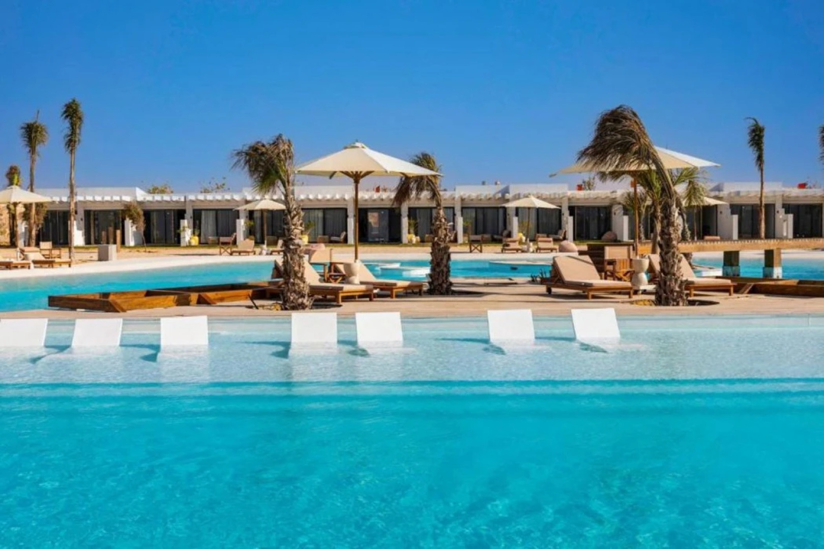 Lemon Spaces LIGHT- D Bay North Coast