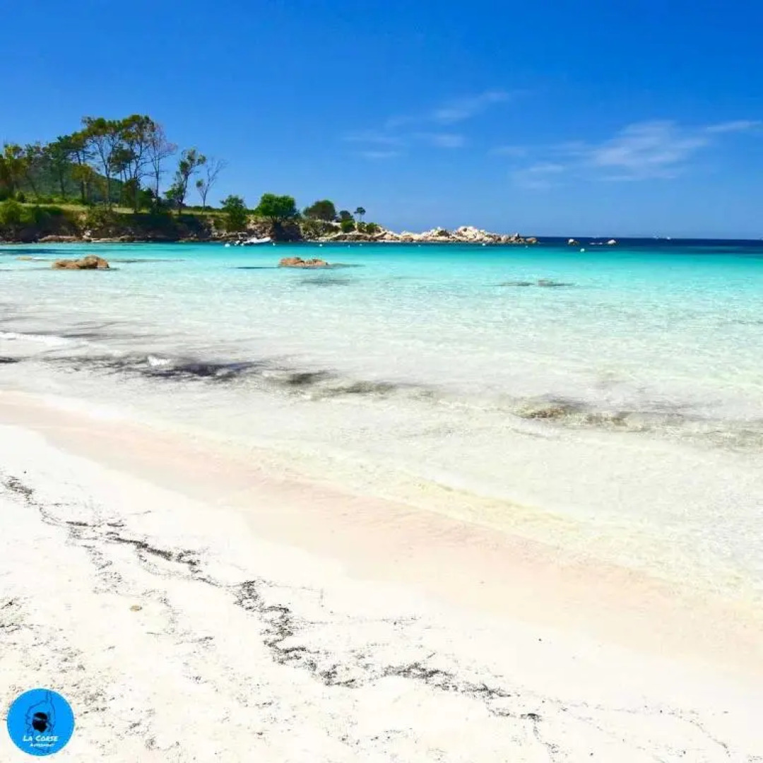 Joli studio maisonnette à 100m de la plage