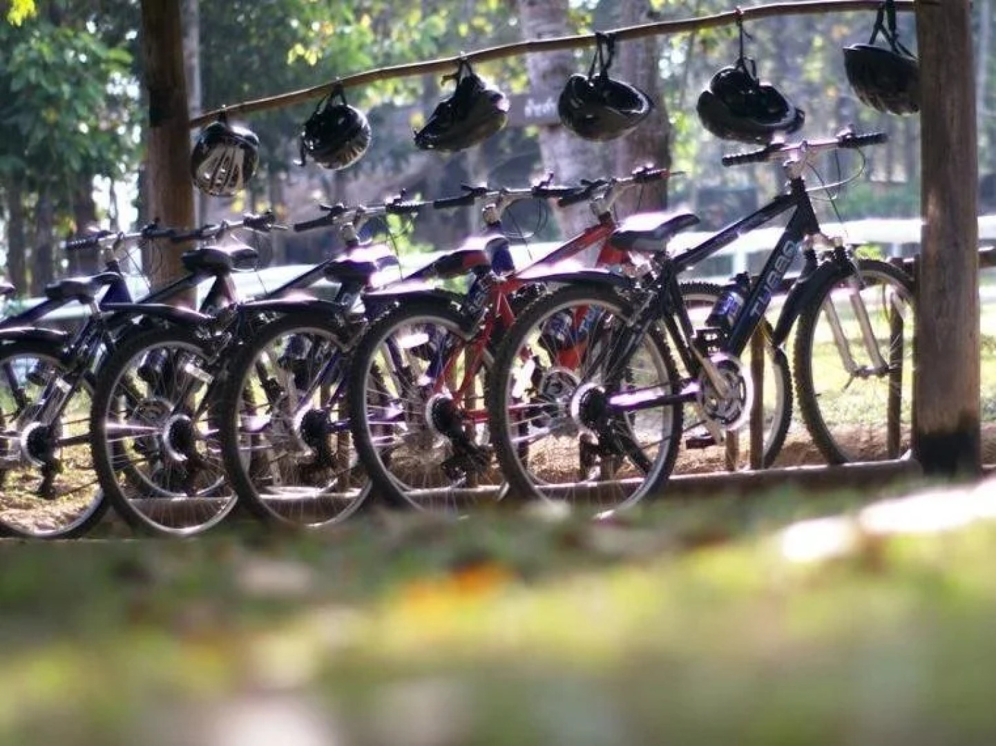 Chachanat Woodland Resort