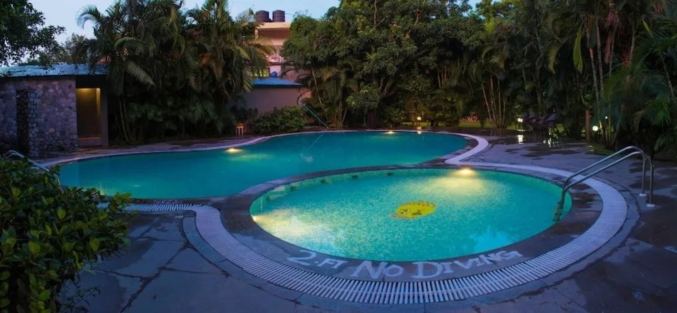 3 Palms Wild Exotica