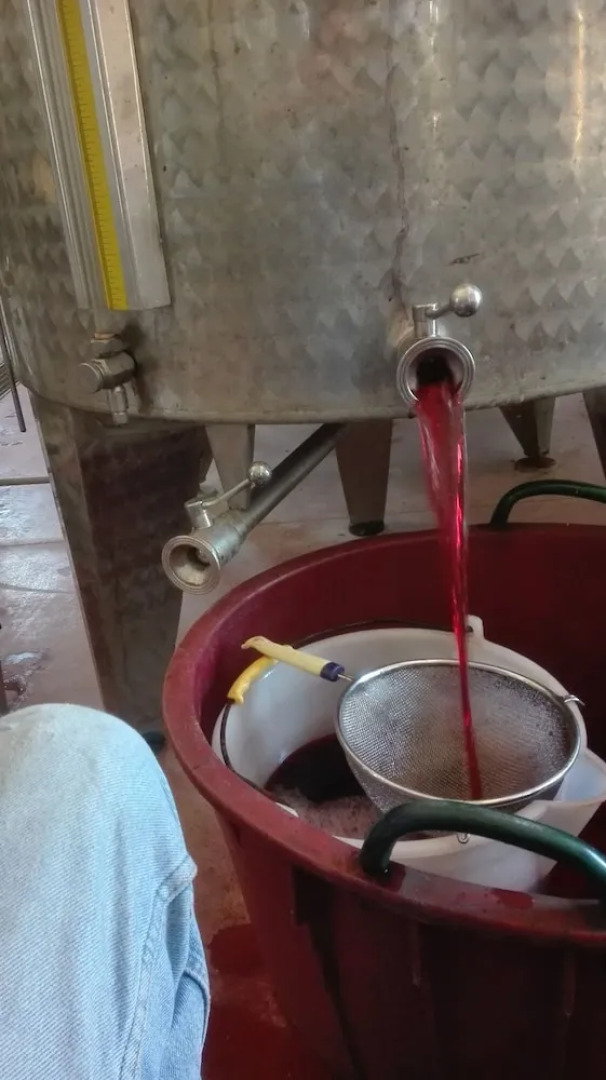 Agriturismo Colle Prana